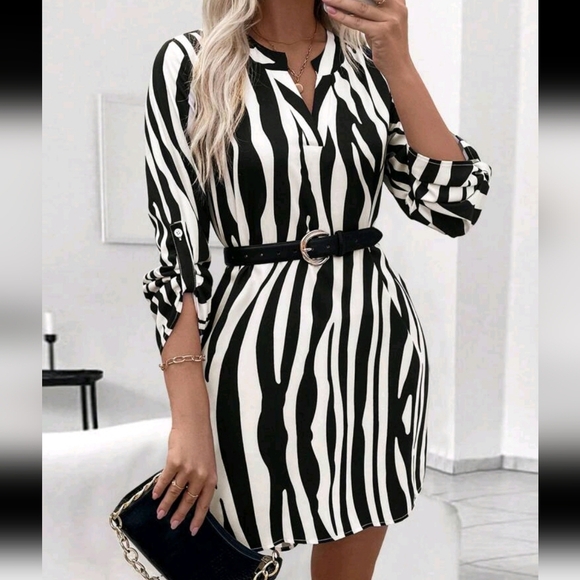 Women's V-Neck Long Sleeve Rolled Cuff Elegant Zebra Print Mini Dress - Picture 1 of 5